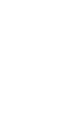 Etheruem Mainnet